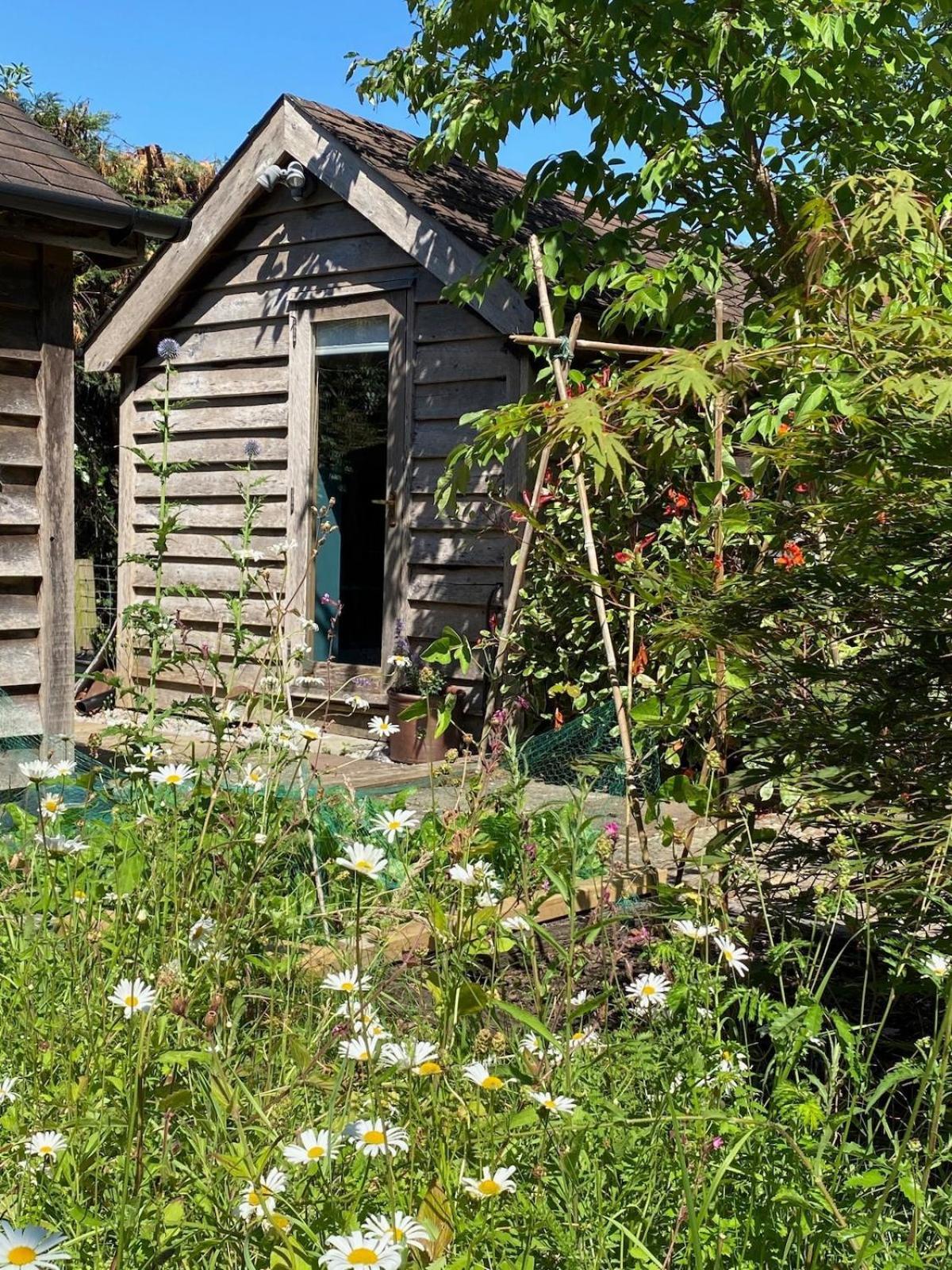 Willa The Tool Shed Nestled In Idyllic Countryside Linchmere Zewnętrze zdjęcie
