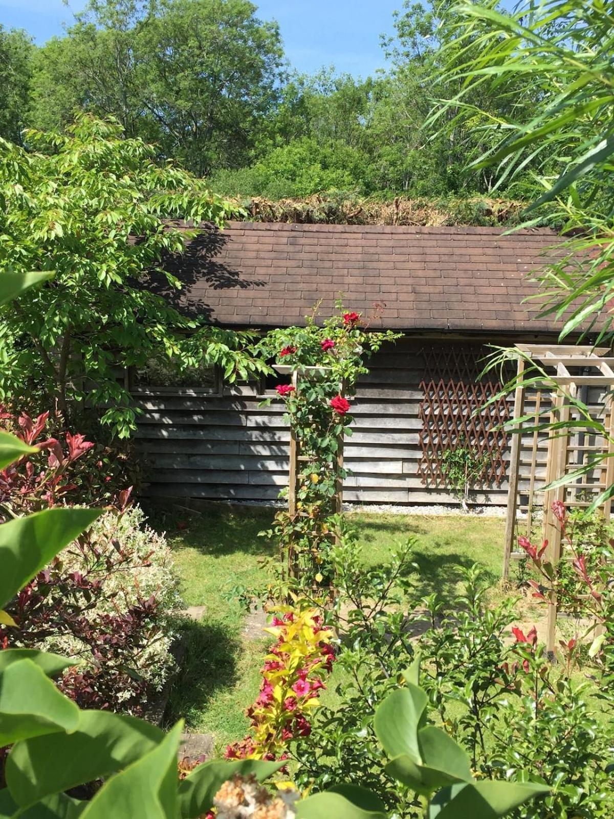 Willa The Tool Shed Nestled In Idyllic Countryside Linchmere Zewnętrze zdjęcie