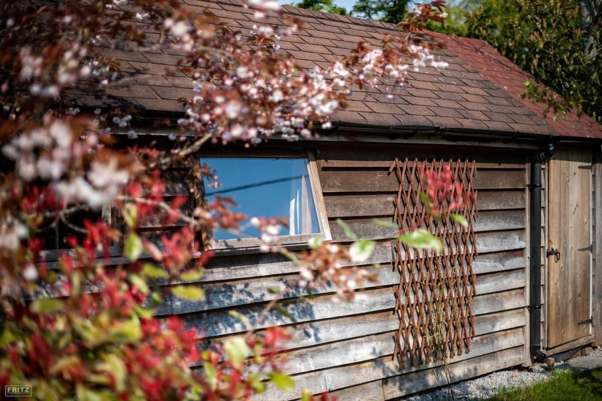 Willa The Tool Shed Nestled In Idyllic Countryside Linchmere Zewnętrze zdjęcie